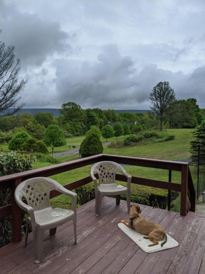 Fenced Yard Chalets From Good Dog Vacations At Big Valley Resort Sciota Eksteriør billede